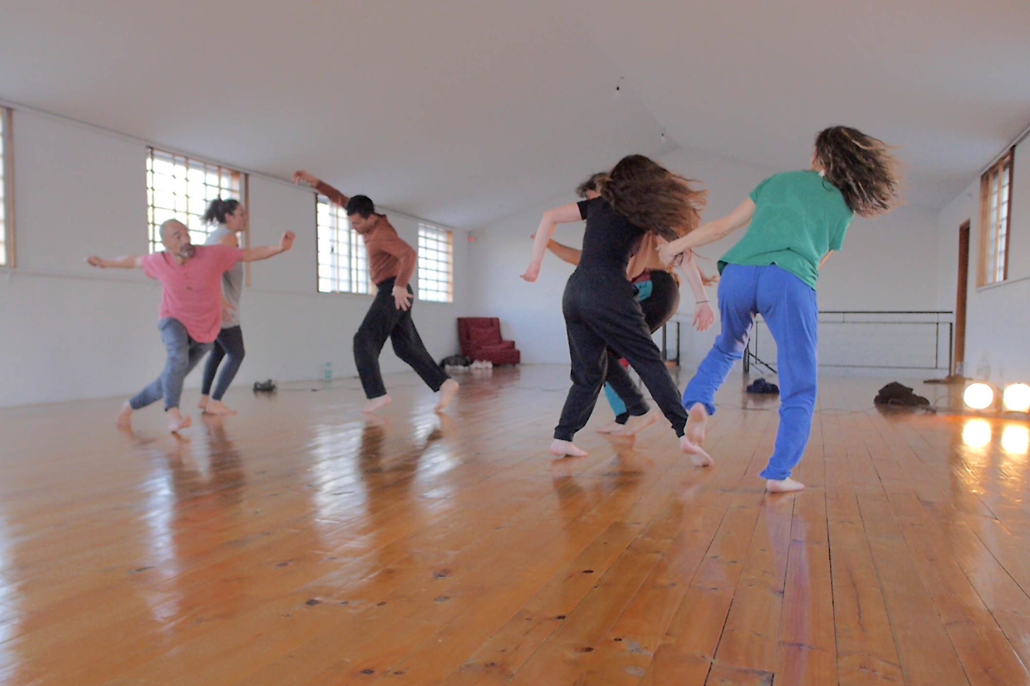 Freedom From, Freedom To, Freedom With: Practices of Freedom in Contact and Improvisation