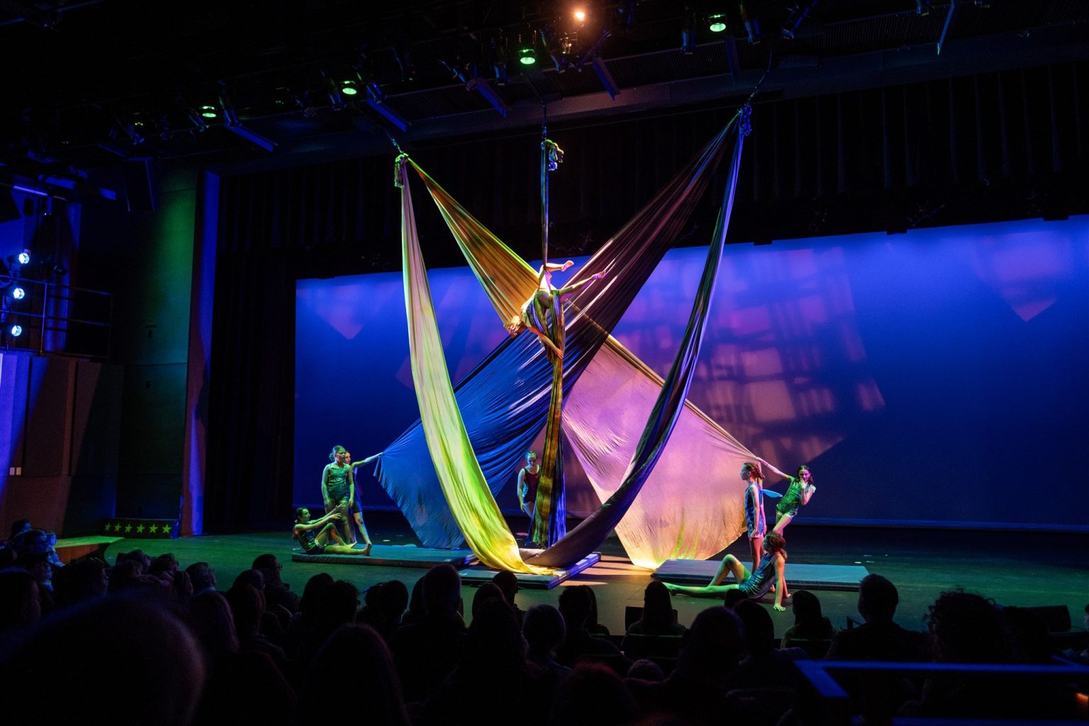 Wild Rumpus Winter Circus 2026 | The Rumpus Room