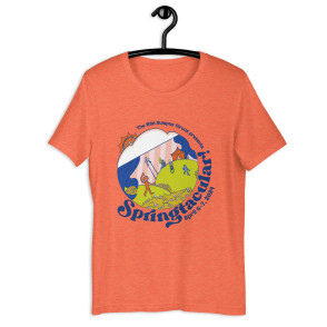 unisex-staple-t-shirt-heather-orange-front-660aae098ea07.jpg