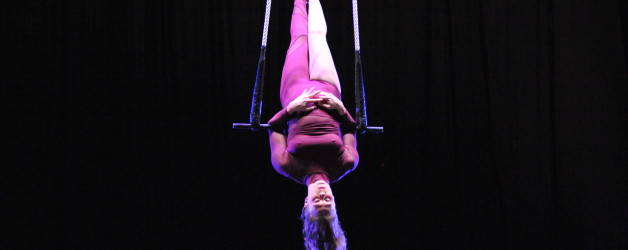 Beginner Aerial and Acrobatics